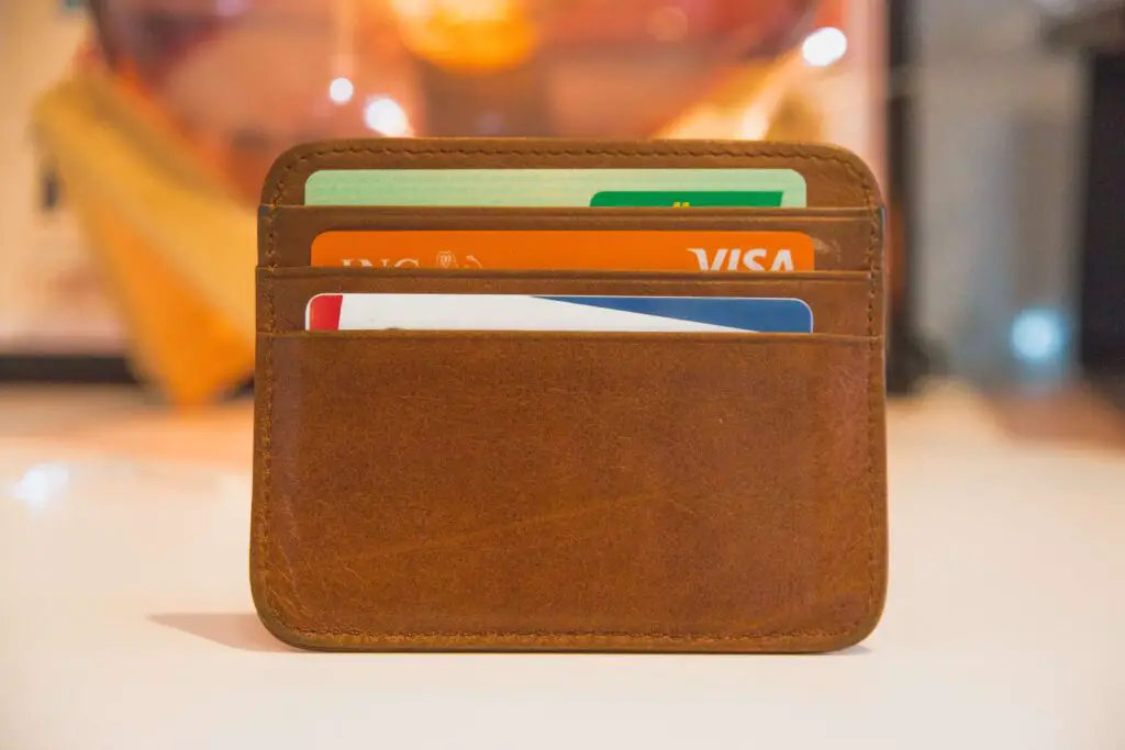 top wallet brands in india