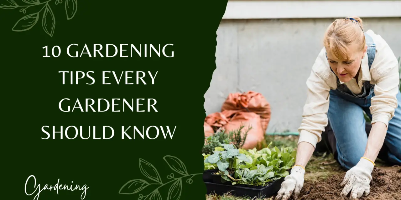 25 Gardening Tips Every Gardener Should Know in 2023
